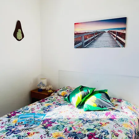 Apartament Lion *